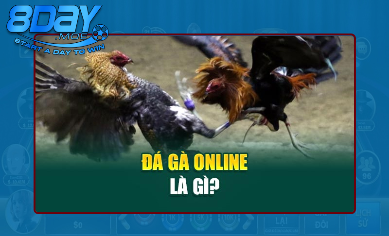 Đôi nét cơ bản về đá gà online 8DAY là gì?