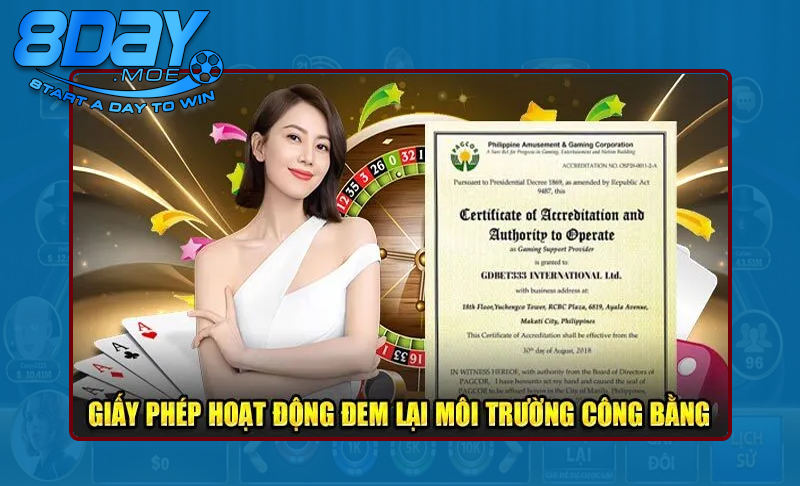 Các loại giấy phép quan trọng 8DaY quan trọng