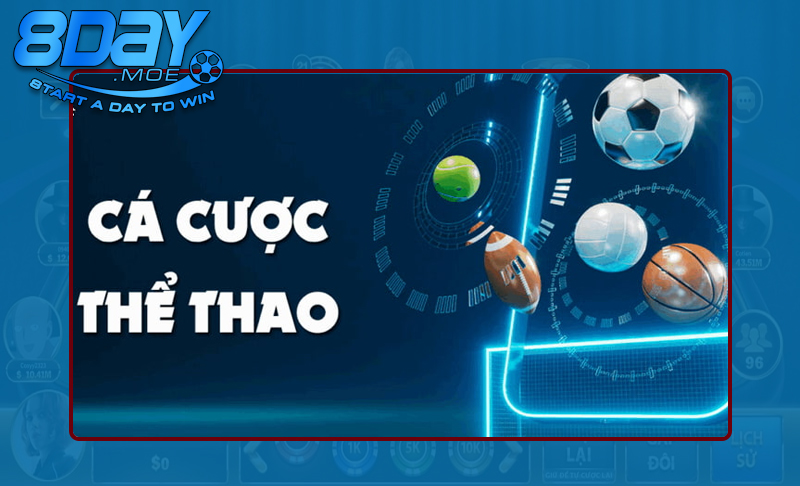 Sân chơi thể thao tại 8DAY đầy thú vị