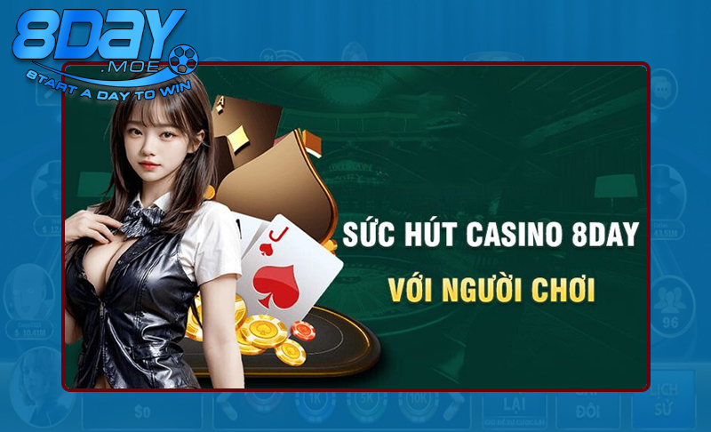 Tổng hợp các ưu đãi khủng tại 8DAY cung cấp